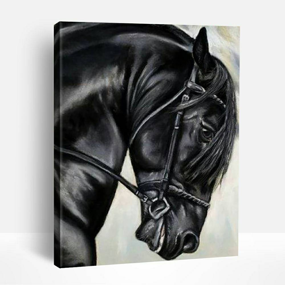 Black Friesian Horse | Paint By Numbers