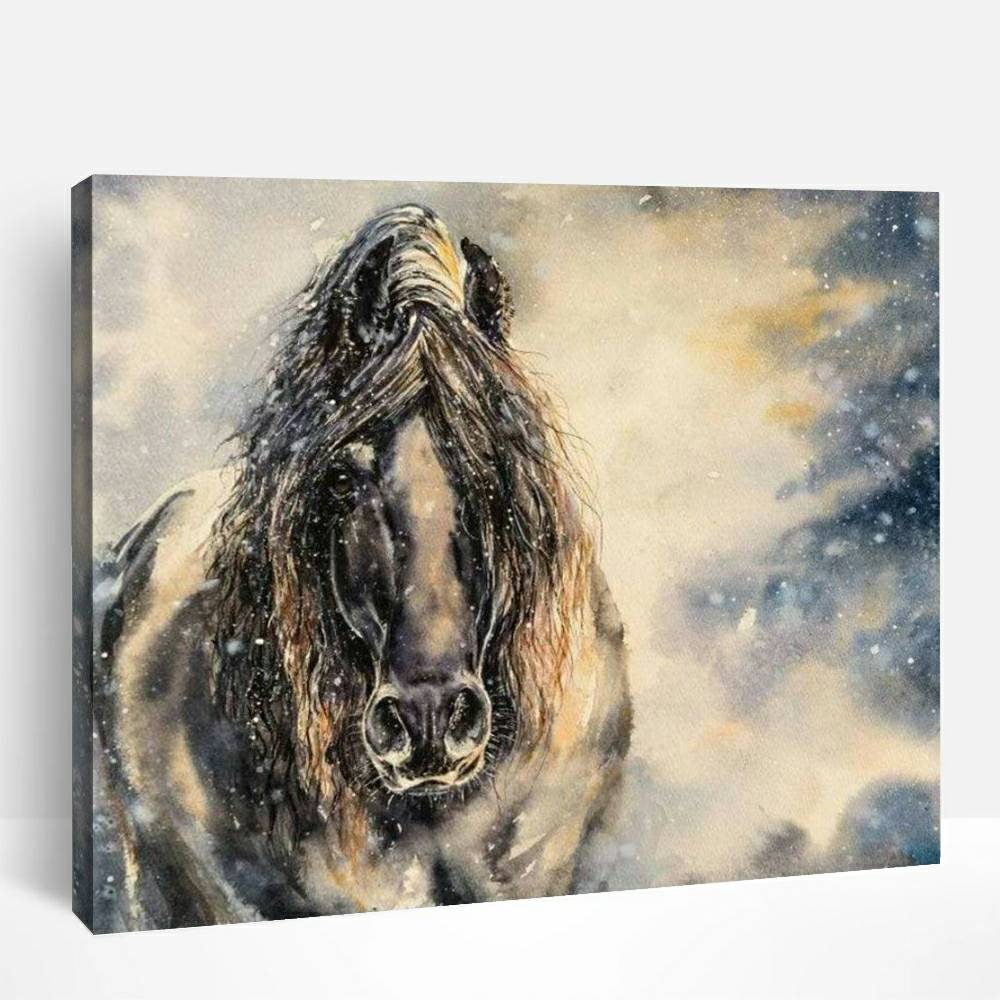 Black Horse in Winter | Paint By Numbers