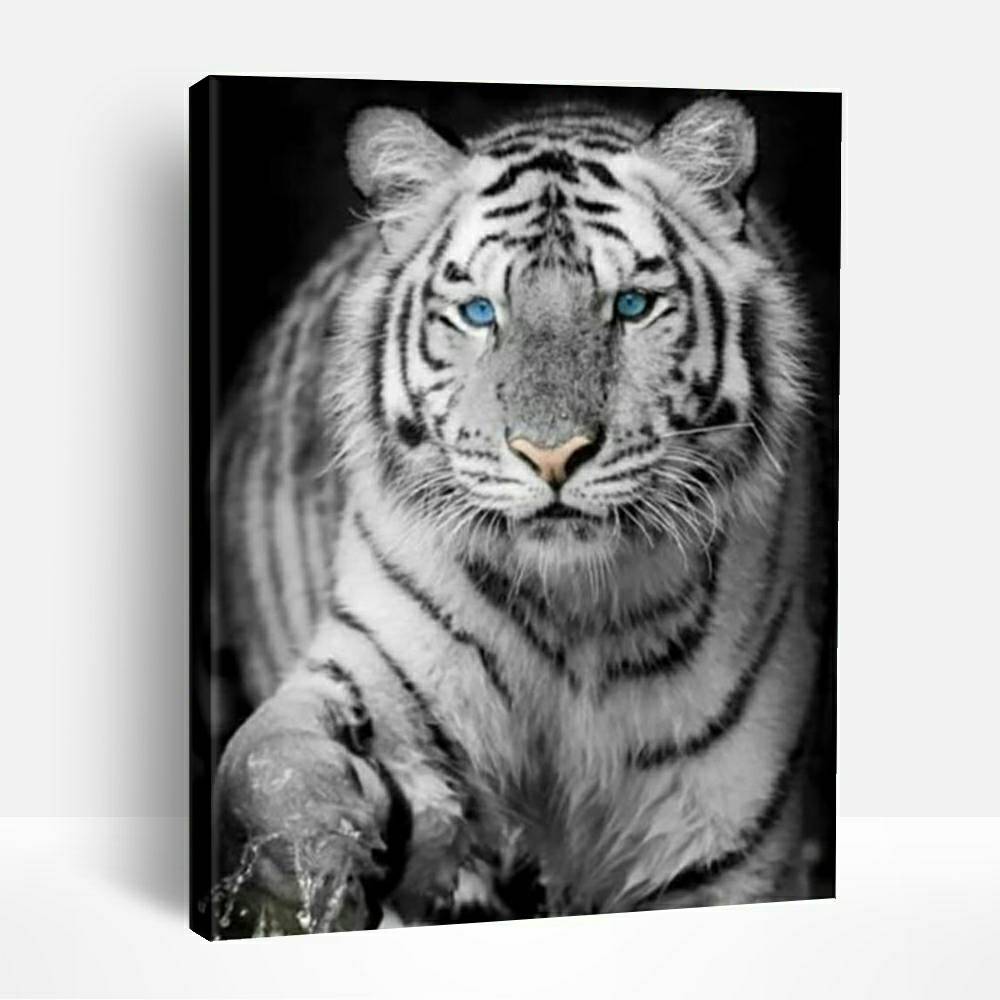 Blue Eyed Snow Tiger | Paint By Numbers
