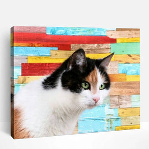 Calico Cat | Paint By Numbers