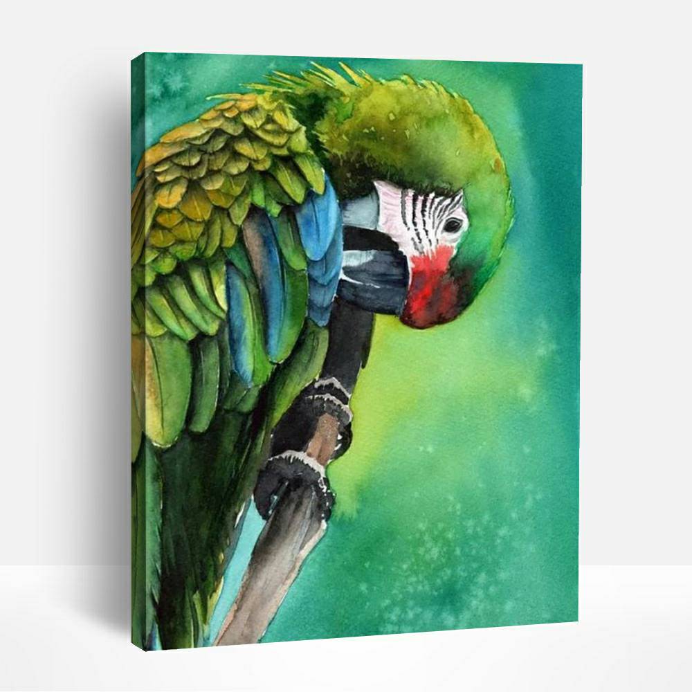 Colorful Parrot | Paint By Numbers