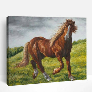 Prairie Horse | Paint By Numbers