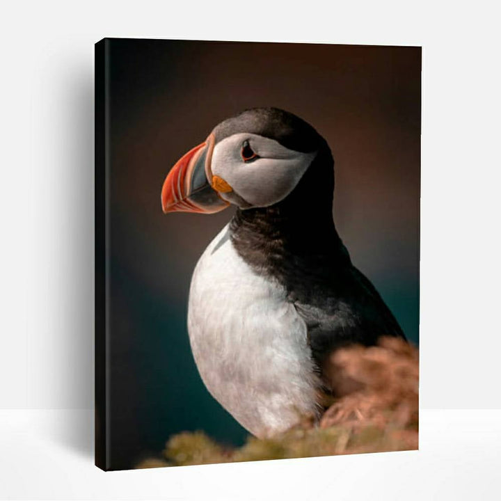 Puffin | Paint By Numbers