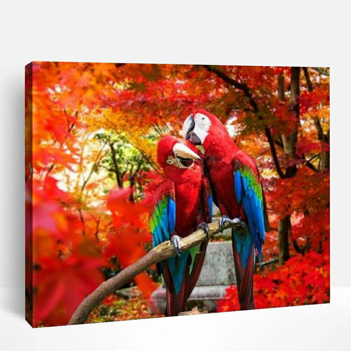 Red & Green Macaw | Paint By Numbers