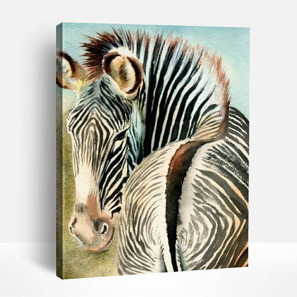 Zebra Looking Back | Paint By Numbers
