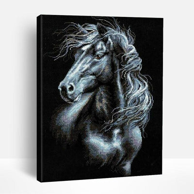 Stallion in Black & White | Paint By Numbers