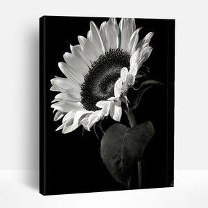 Sunflowers in Black & White | Paint By Numbers