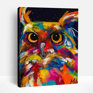 Colorful Owl Portrait | Paint By Numbers