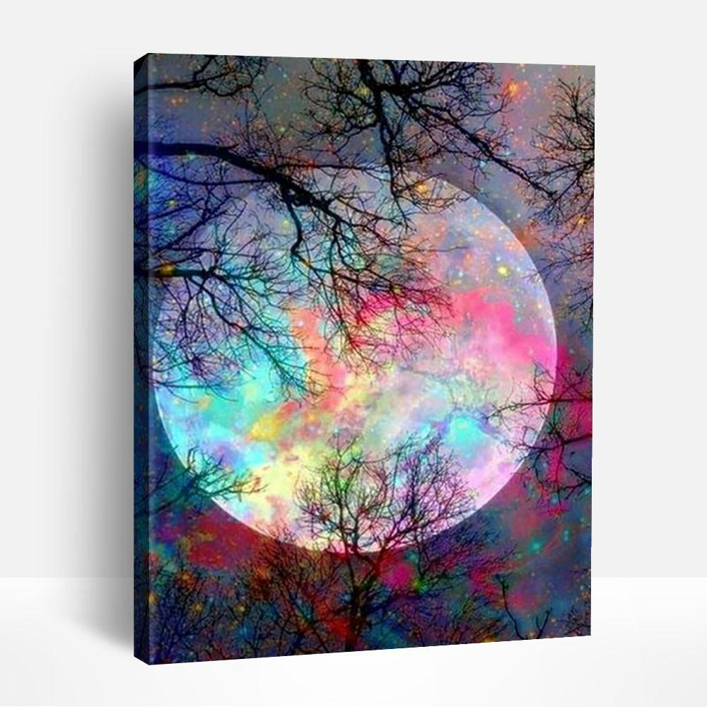 Colorful | Paint By Numbers