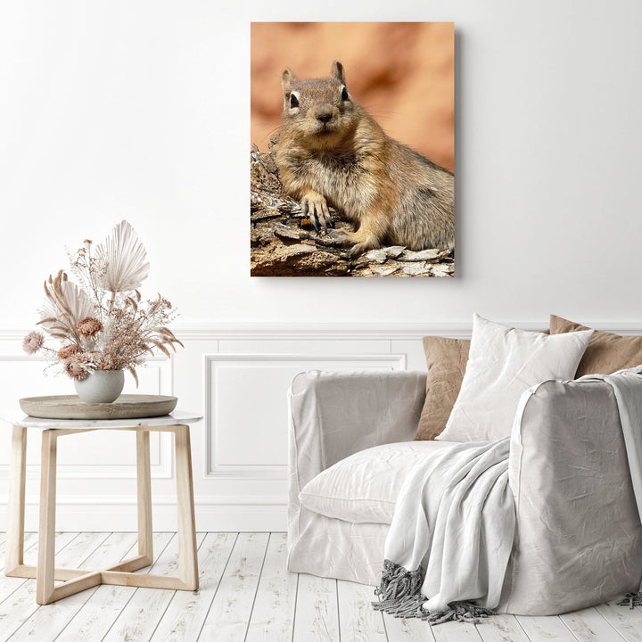 Lounging Squirrel | Diamond Painting