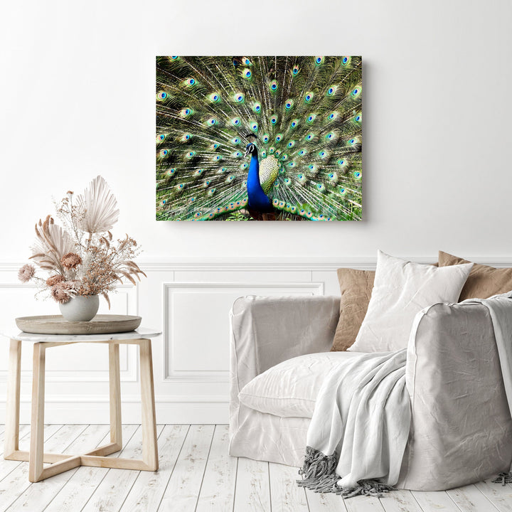 Blue and Green Peacock | Diamond Painting