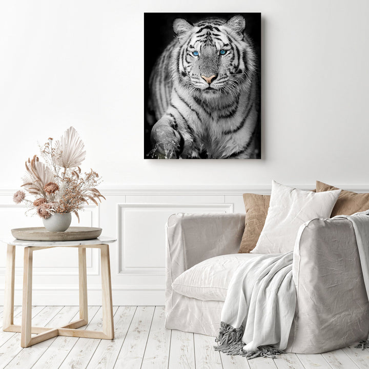 Blue Eyed Snow Tiger | Diamond Painting