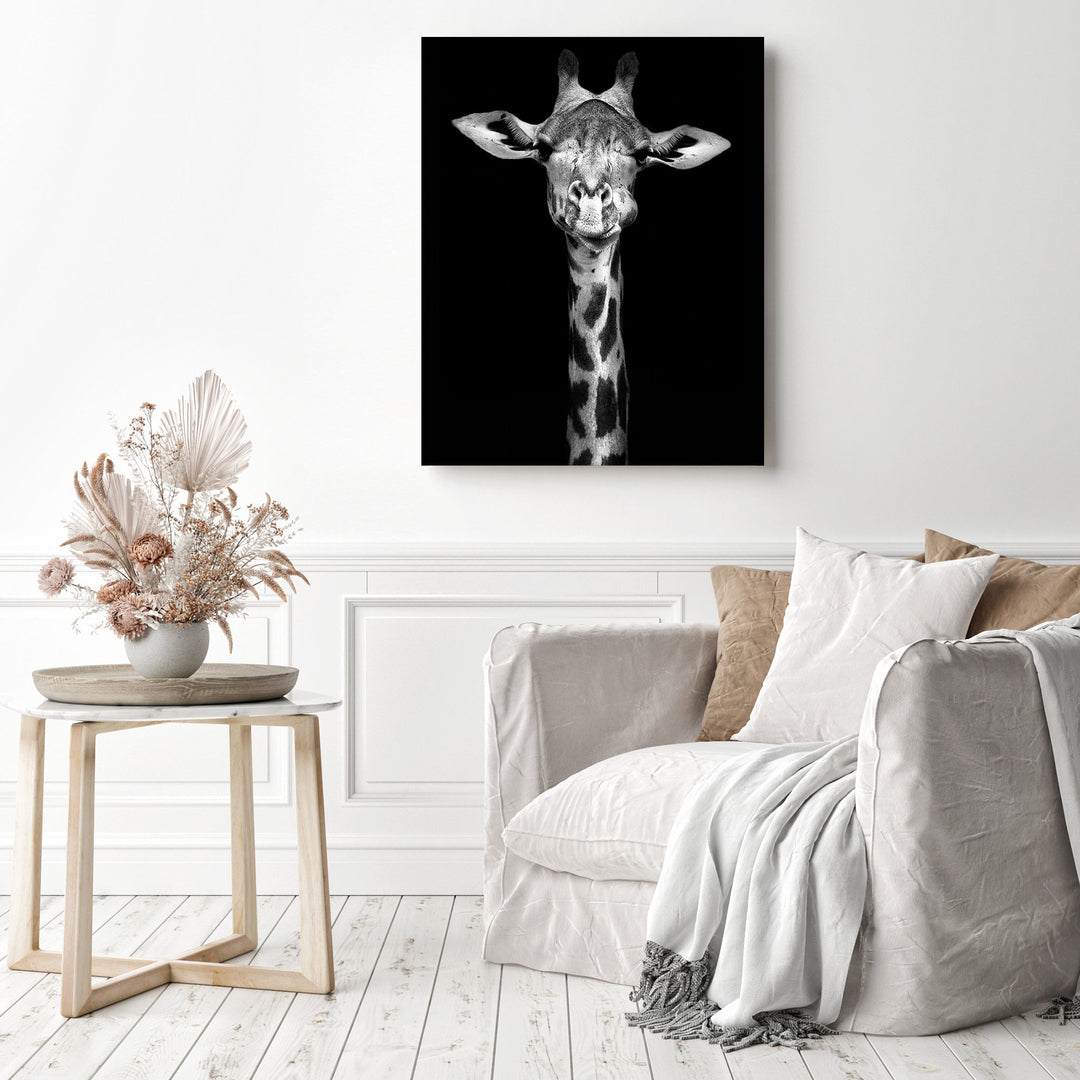 Black and White Giraffe | Diamond Painting