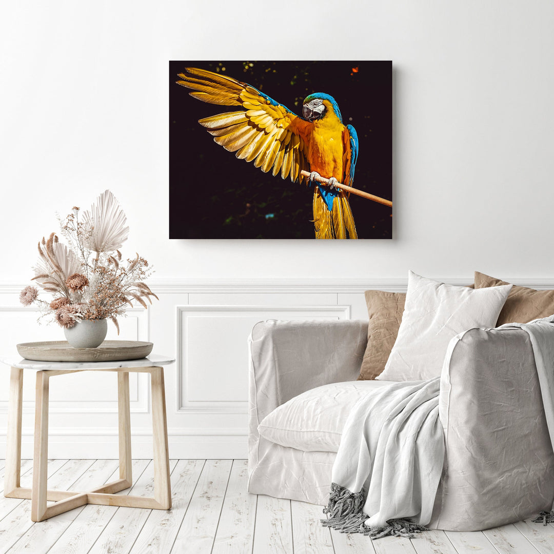 Yellow blue and green parrot | Diamond Painting