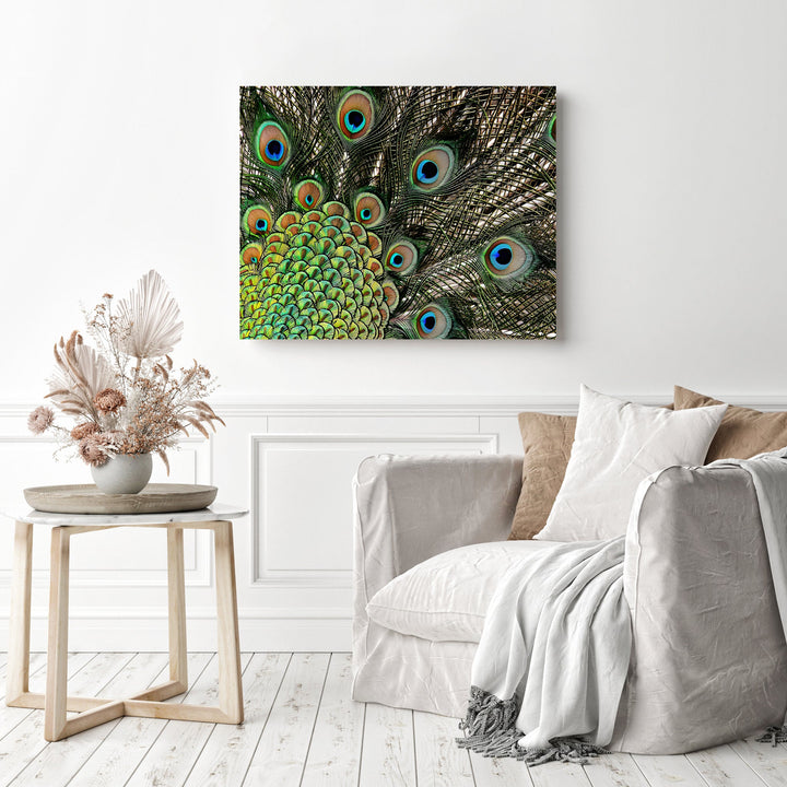 Peacock Feathers | Diamond Painting