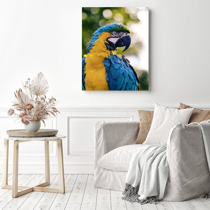 Blue & Gold Macaw | Diamond Painting