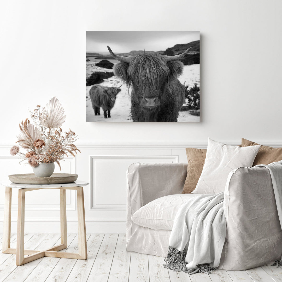 Black White Highland Cow | Diamond Painting