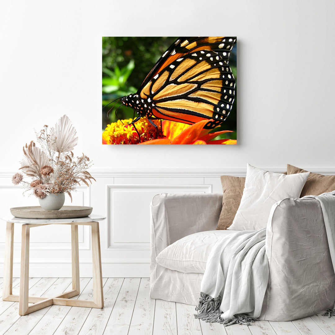 Monarch Butterfly | Diamond Painting