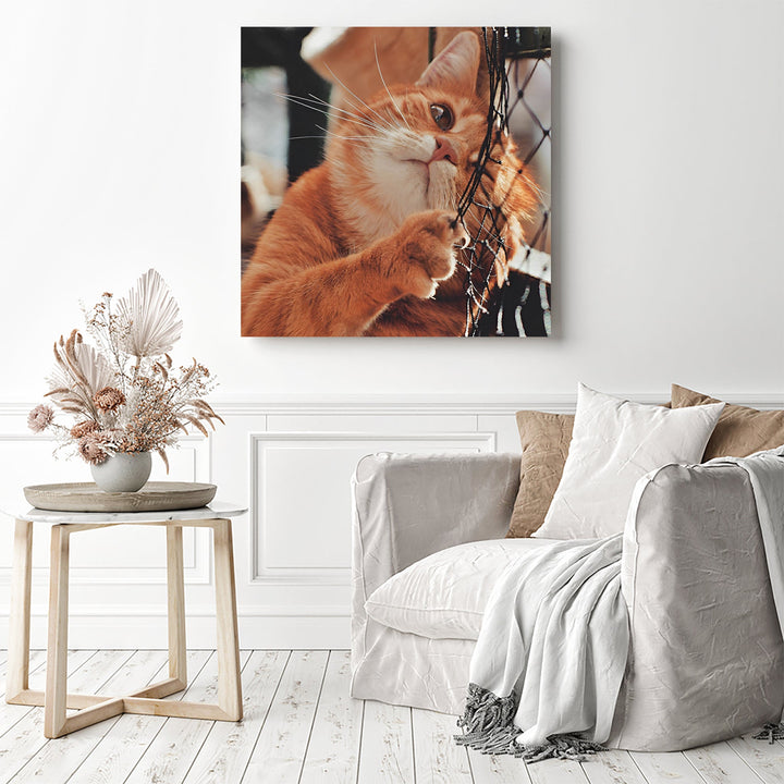 Cute Orange Cat | Diamond Painting