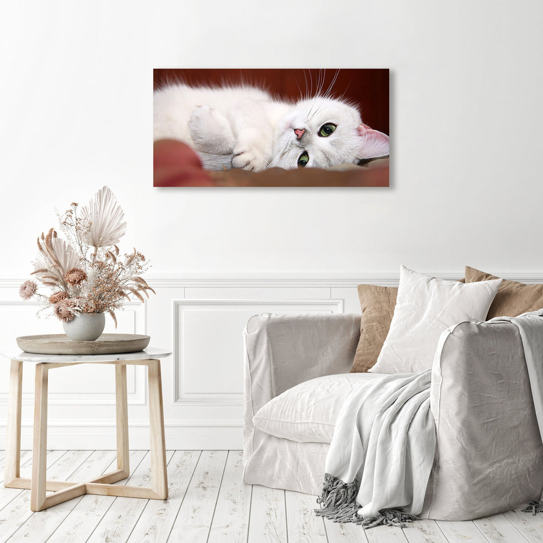 White kitten | Diamond Painting