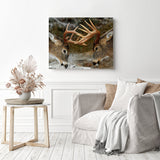 Deer Horn Fight | Diamond Painting Displayed as Home Decor