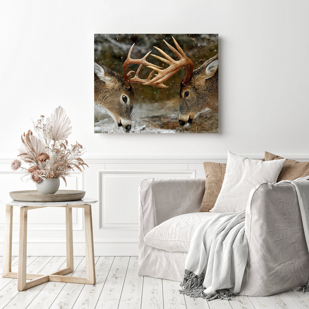 Deer Horn Fight | Diamond Painting