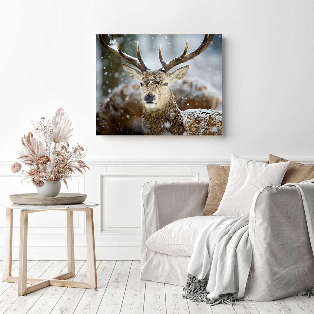 Winter Deer | Diamond Painting