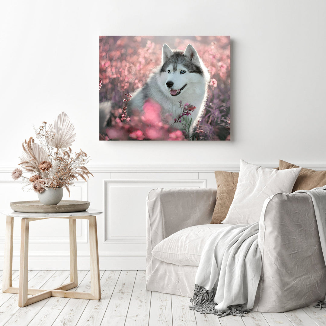 Cute Dog Husky | Diamond Painting