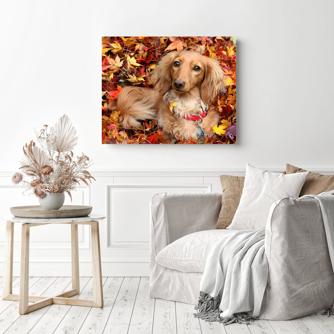 Dog in Autumn | Diamond Painting