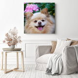 Pomeranian Dog | Diamond Painting Displayed as Home Decor