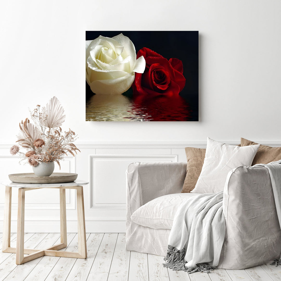 Red & White Roses Reflection | Diamond Painting