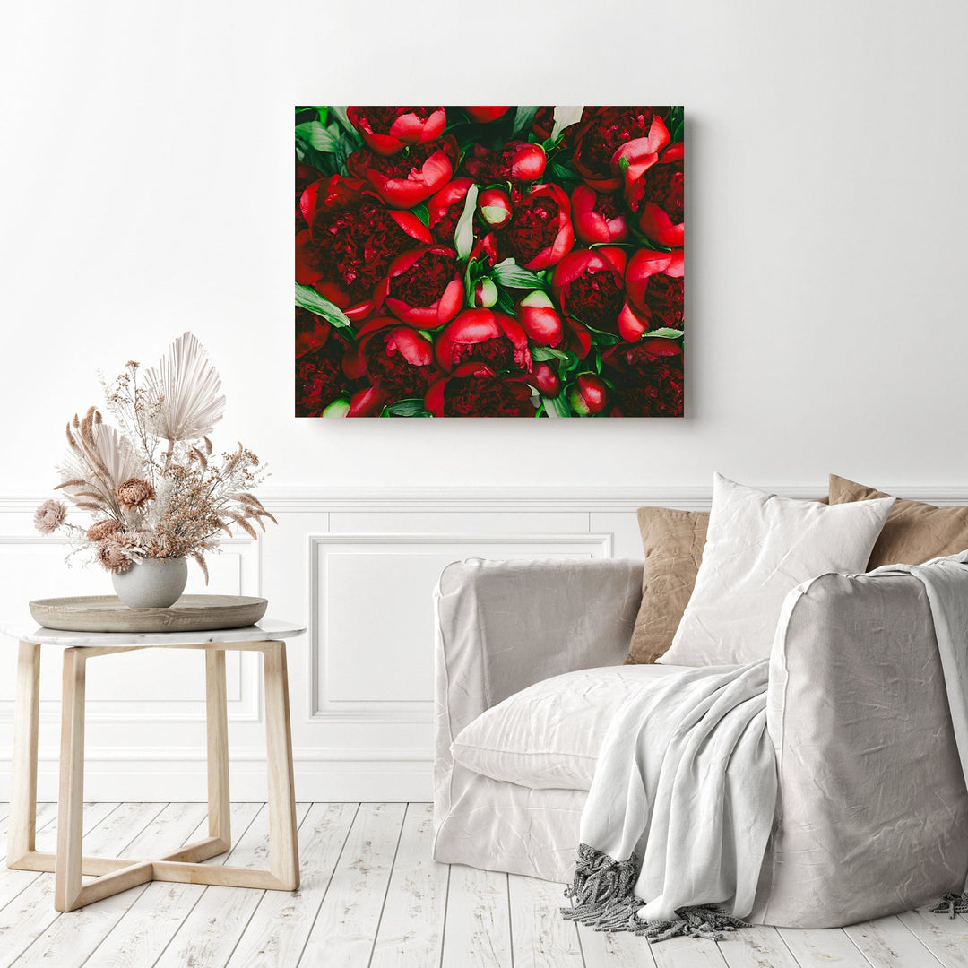 Red Peony Flowers | Diamond Painting