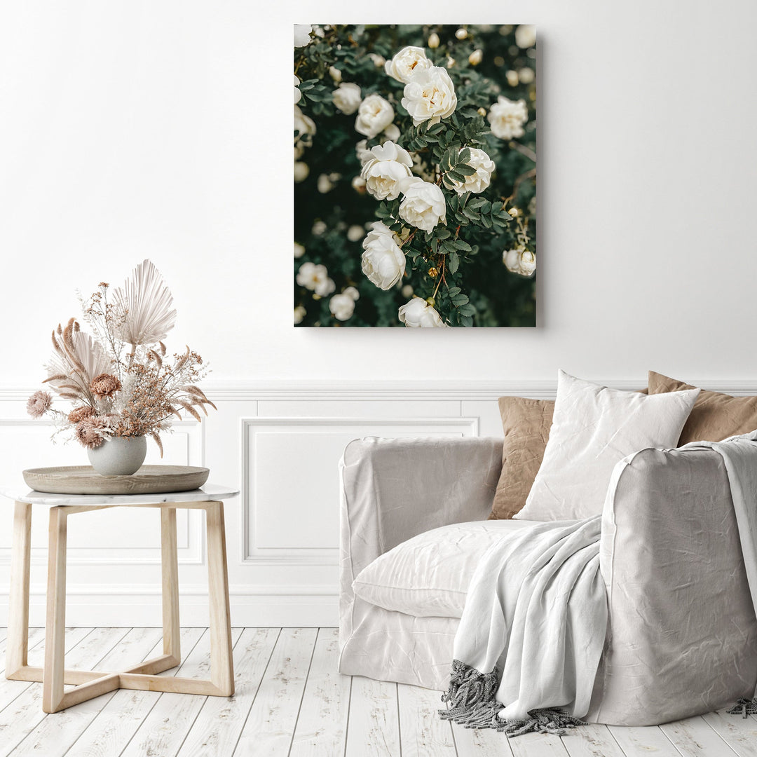 White Roses | Diamond Painting