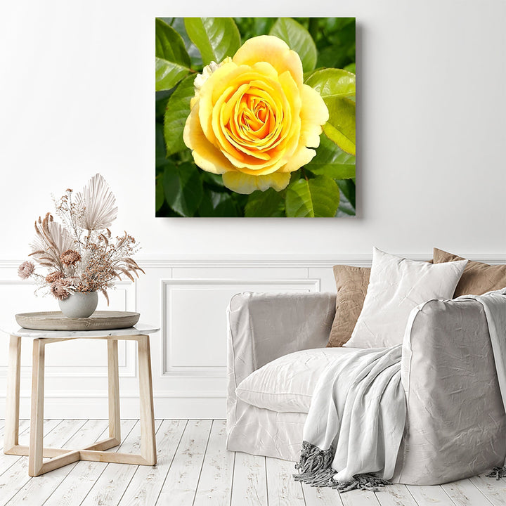 Yellow Rose | Diamond Painting