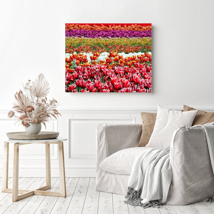 Field of Tulips | Diamond Painting