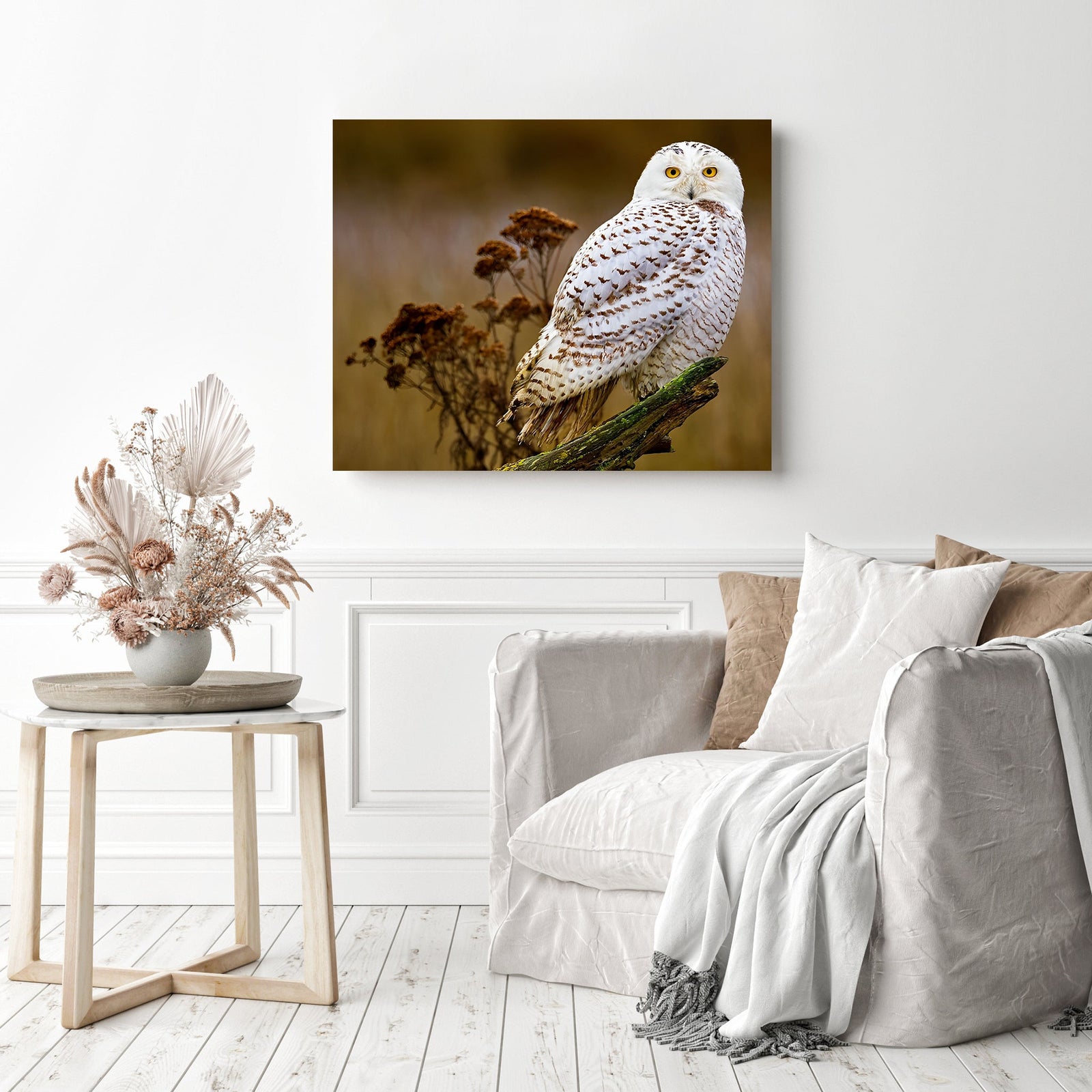 Snow Owl Stare | Diamond Painting Displayed as Home Decor