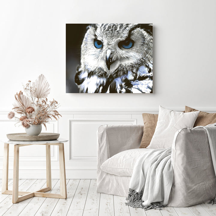 Snow Owl Close-up | Diamond Painting
