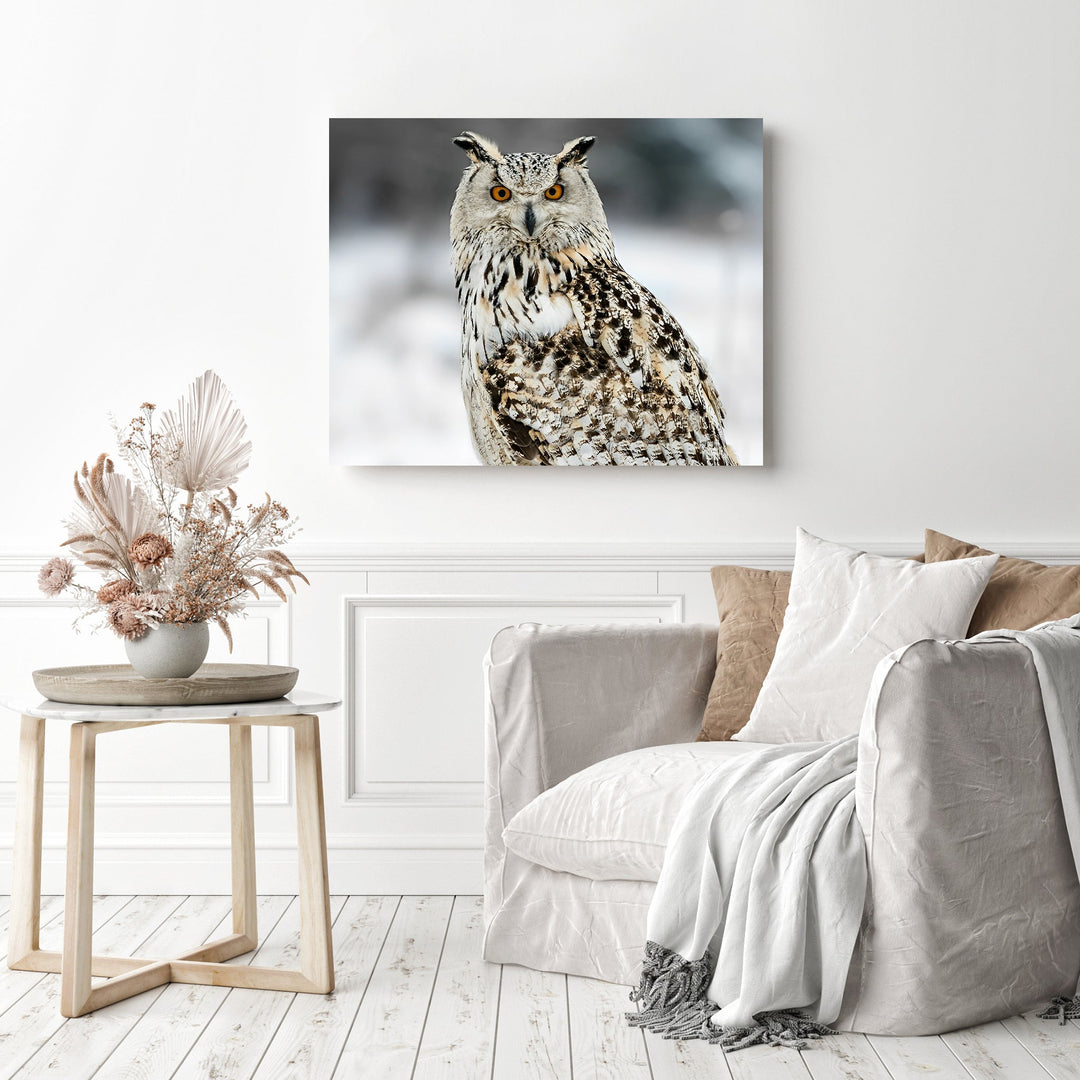 Snow Owl | Diamond Painting
