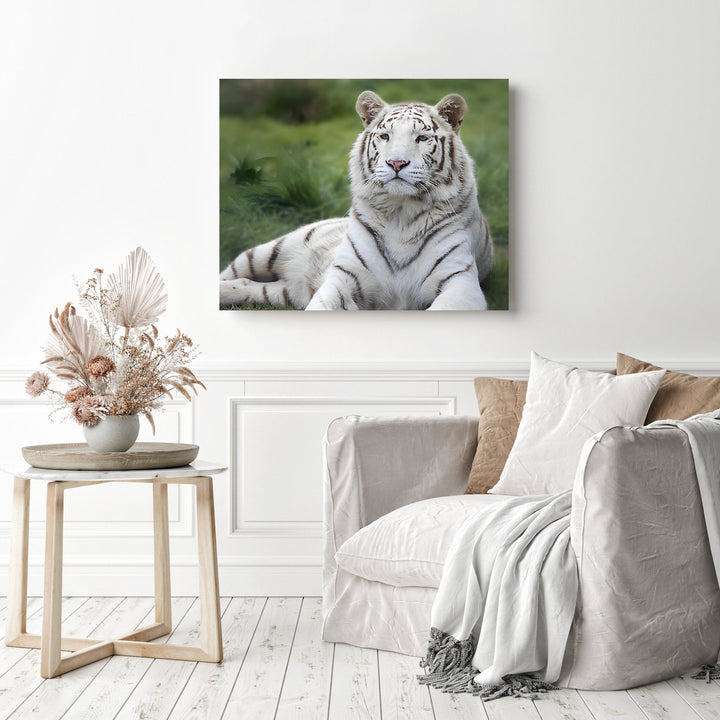White Tiger | Diamond Painting