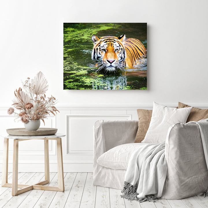 Tiger Swim | Diamond Painting