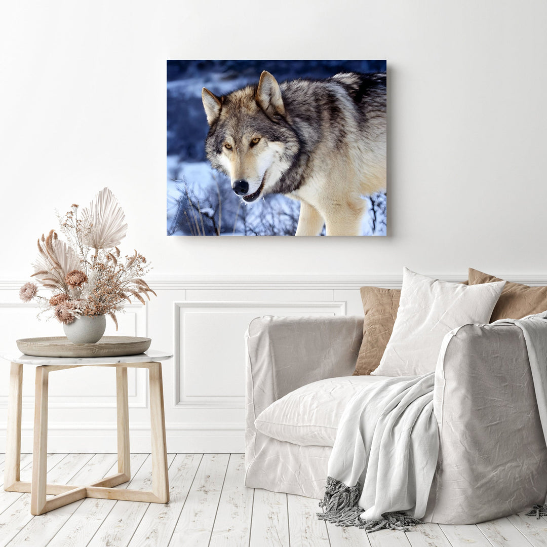 Lonely Wolf | Diamond Painting