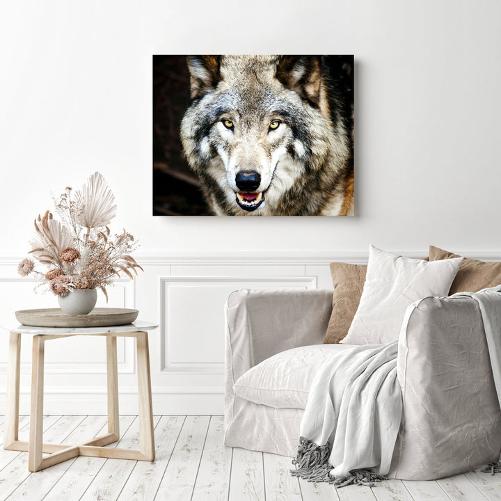 Grey Wolf | Diamond Painting
