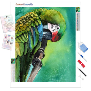 Colorful Parrot | Diamond Painting