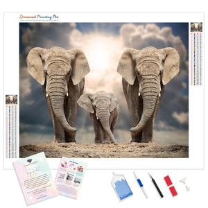 Elephant Family Under the Sun | Diamond Painting