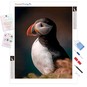 Puffin | Diamond Painting