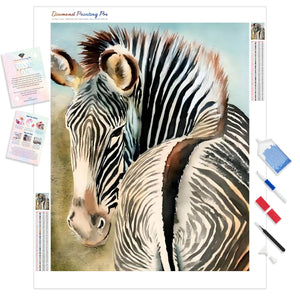 Zebra Looking Back | Diamond Painting