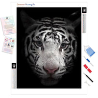 Black and White Bengal Tiger | Diamond Painting Kit - Full Drill - Square or Round Diamonds with AB Drills Option