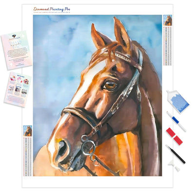 Arabian Brown Horse | Diamond Painting