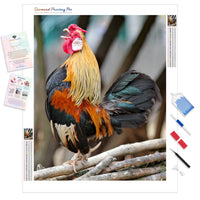 Brown and black rooster | Diamond Painting