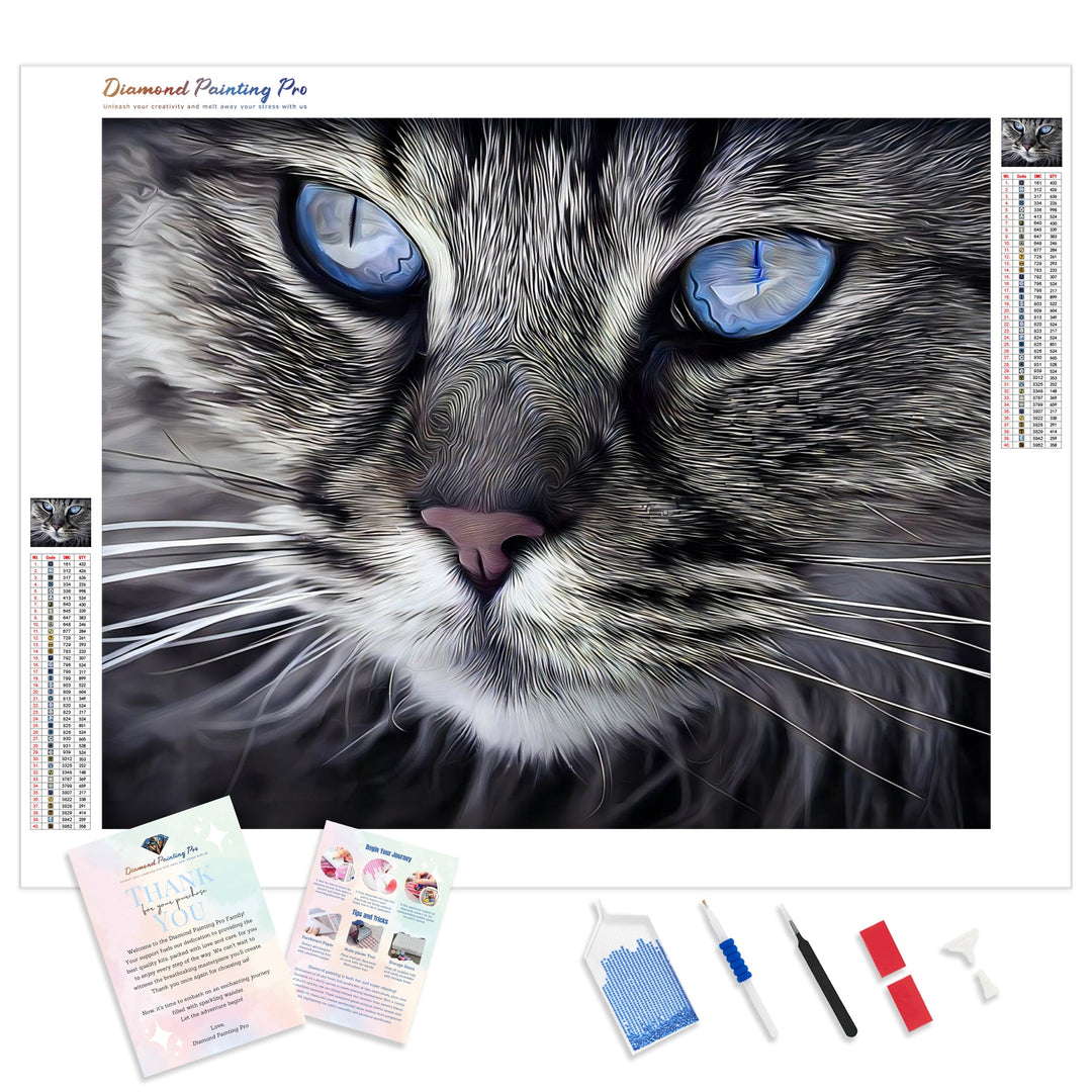 Cat's Eyes | Diamond Painting Kit - Full Drill - Square or Round Diamonds with AB Drills Option